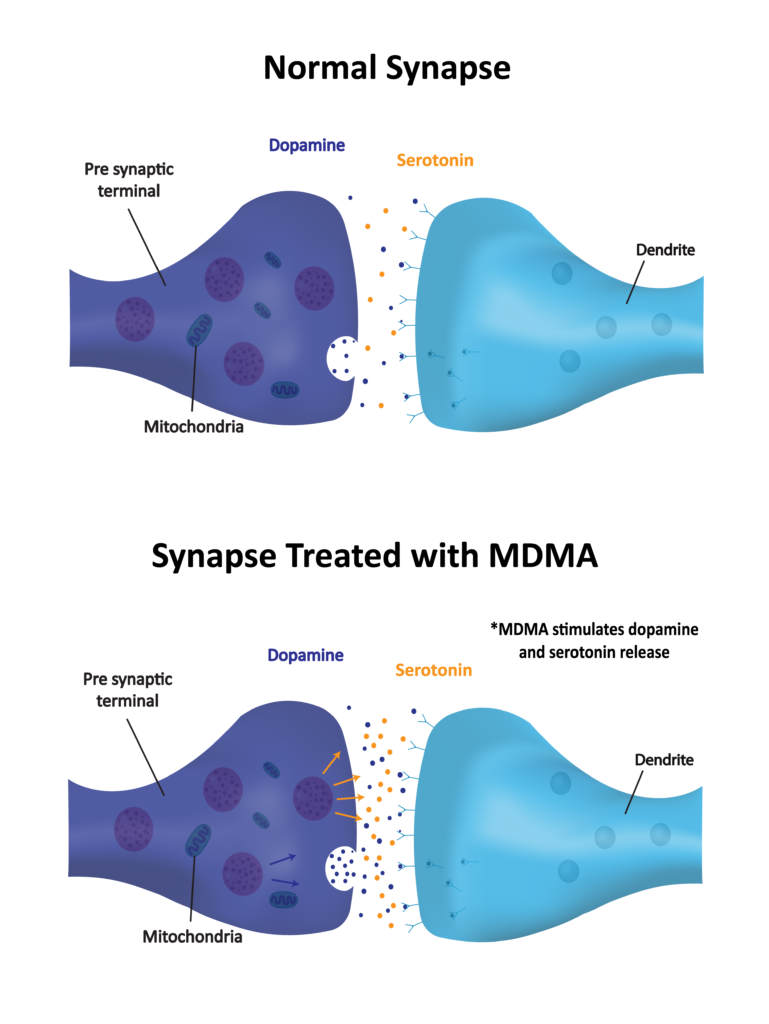 MDMA Addiction | Signs, Symptoms & Treatment | FAR Guides