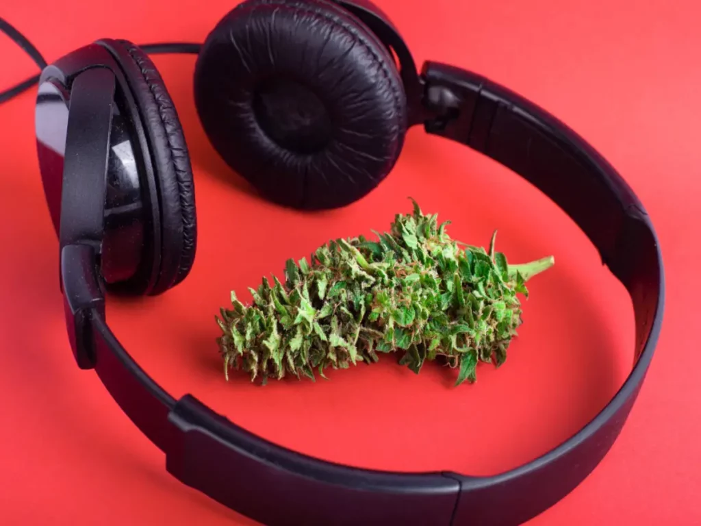 Headphones and cannabis flower show the possible answer to: does music glorify drug abuse