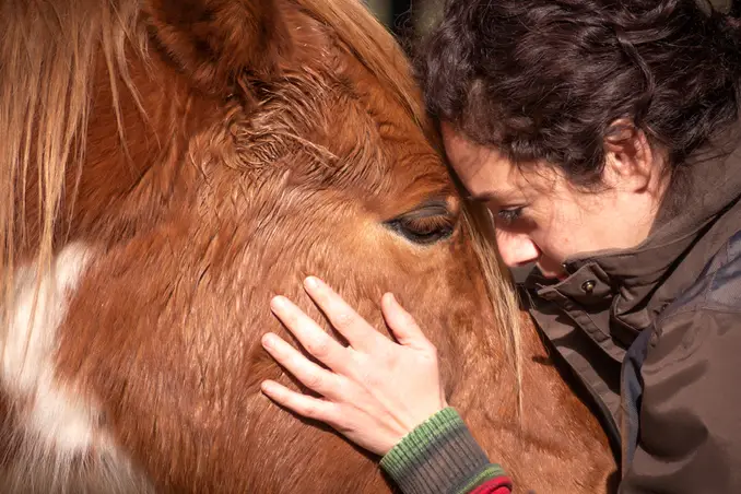 A woman holds her face close to a brown horse, to show the concept of animal-assisted therapy for addiction treatment