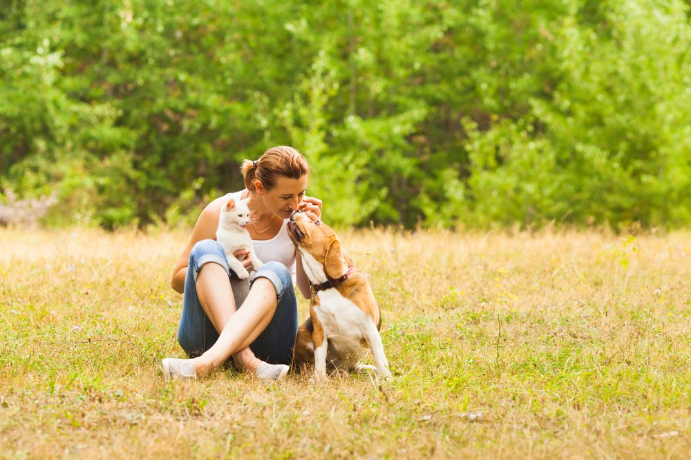 Pet Therapy - A woman sits in a field and plays with a dog and a cat as part of her pet therapy during her addiction treatment.