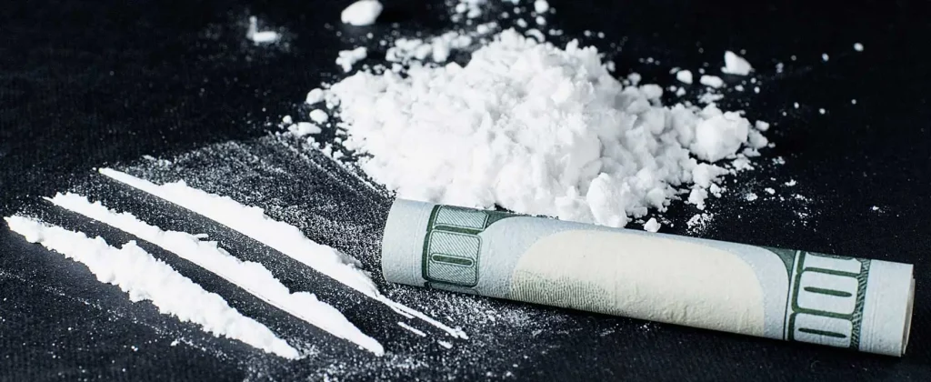 The Cost of Illegal Drugs in the United States