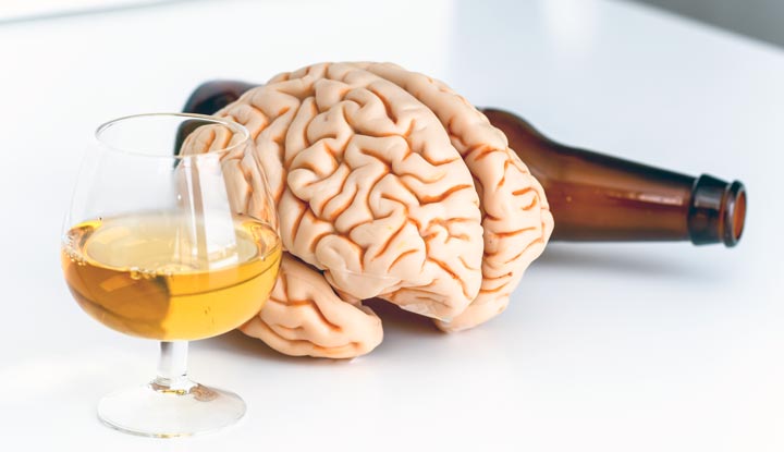 Connection Between Alcohol and Brain Damage