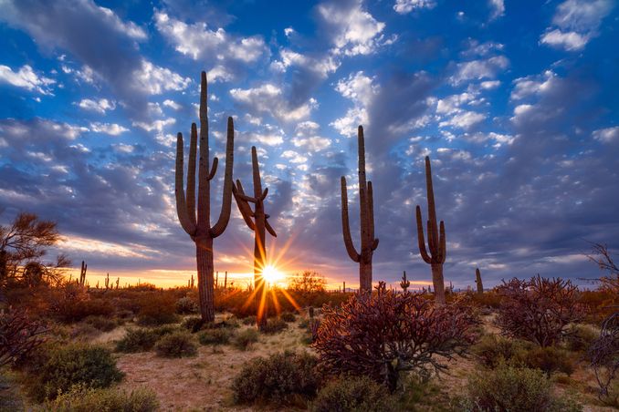 A beautiful desert scene shows the benefits of Arizona Alcohol and Drug Rehab Centers