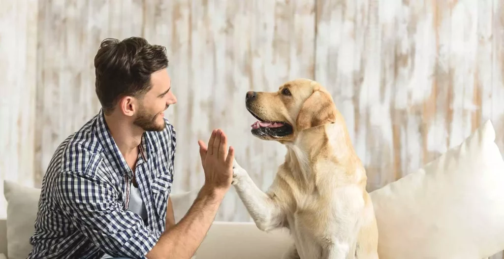 Can A Pet Dog Help with Addiction Recovery