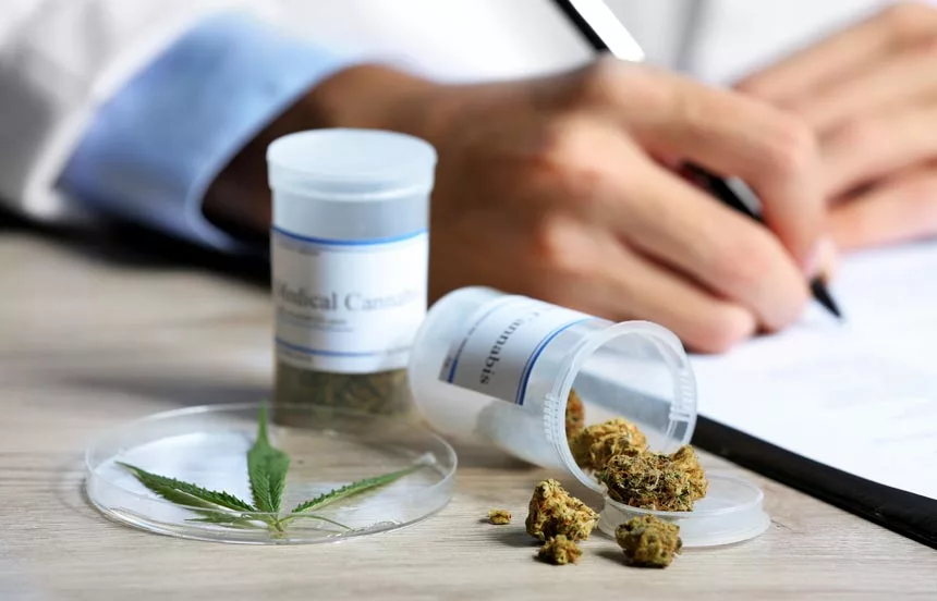 Difference Between Medical Marijuana and Illicit Cannabis