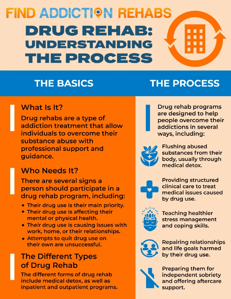 Drug Rehab infographic by Nicole R