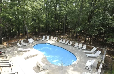 Mt Sinai Wellness 5 372x240