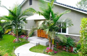 The Discovery House 2 372x240