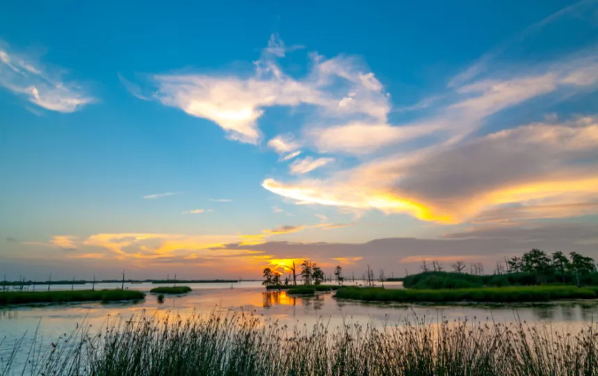 A beautiful Louisiana sunrise shows the promise of rehabs in the state