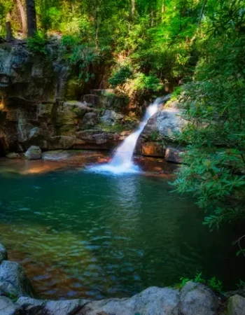 Resurgence Tennessee