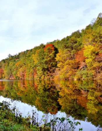 Resurgence Tennessee