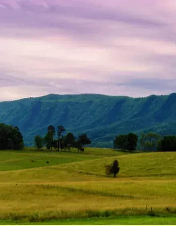 Resurgence Tennessee