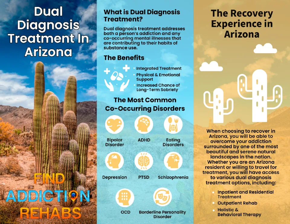 Dual Diagnosis Treatment Centers in Arizona infographic by Nicole R