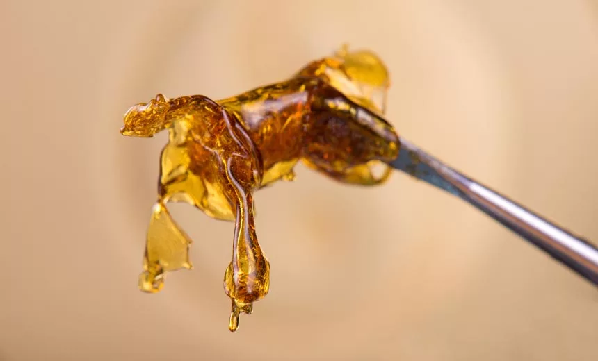 What Are Cannabis Concentrates